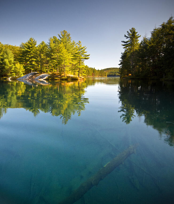 Looking through clear turquoise water on a lake 