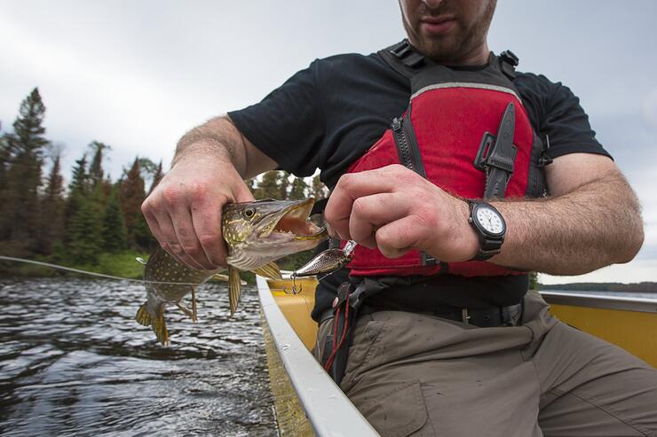 Man in a canoe removing a hook from the mouth of a fish.