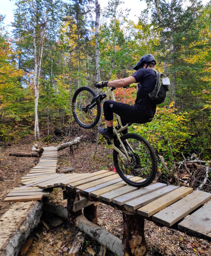 Young man doing a wheelie on a boardwalk in forest.
