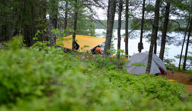 Campsite in forest near a lake.