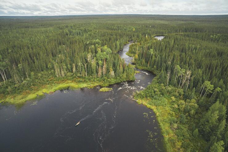 Areal view of the boreal forest and a lake.