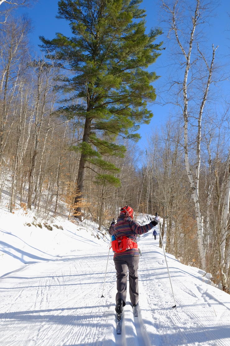 Woman cross country skiing on groomed trail. 