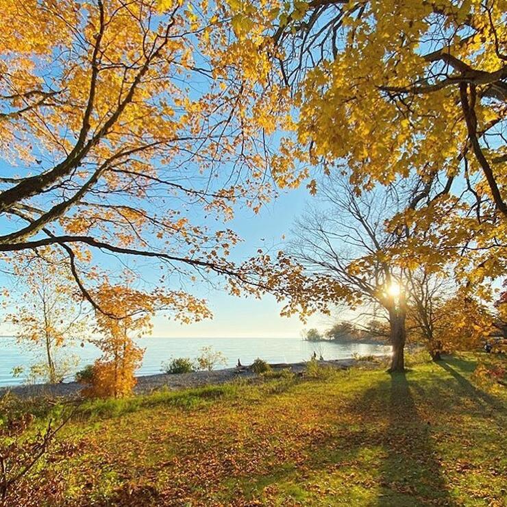 Beautiful view of grassy parkland, autumn trees and a lake. 