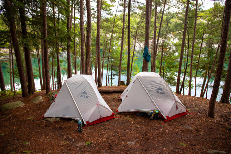 Two small tents on a flat campsite beside trees and lake.