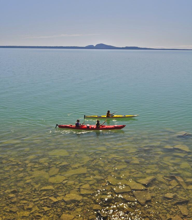 Two kayakers paddling next shore over clear water. 