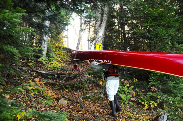 Person portaging a red canoe on a woodland trail.