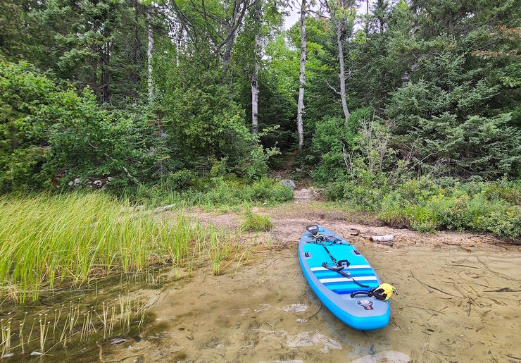 Blue paddleboard on a beach with a path leading into the forest