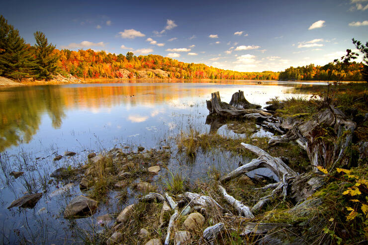 Sunshine lights up the fall colours on shore across a lake