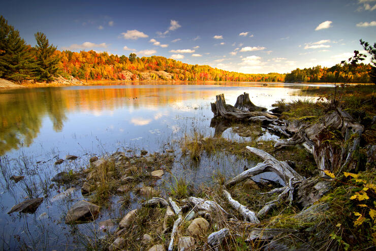 Sunshine lights up the fall colours on shore across a lake 