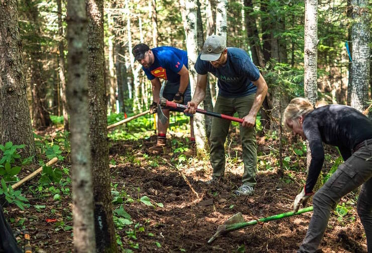 Three people working with rakes on a forest trail.