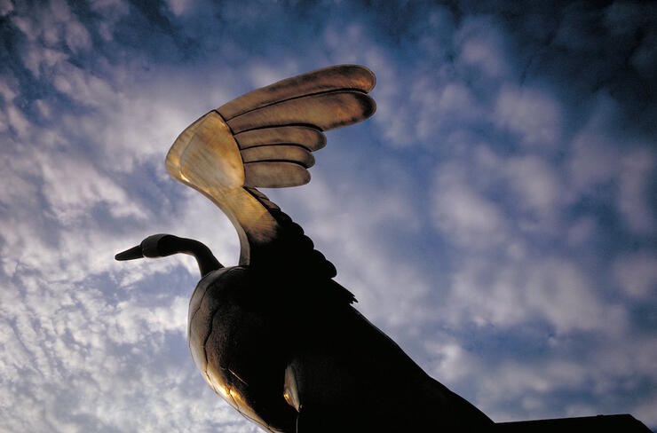 Looking up at giant Canada Goose statue