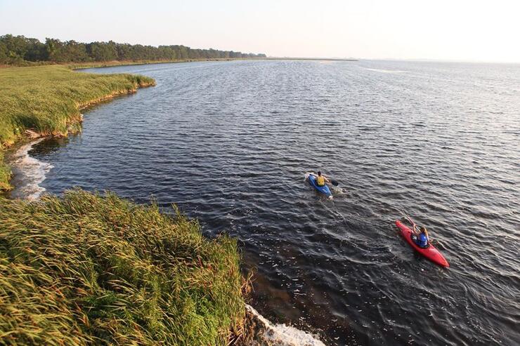 Kayakers paddling on a beautiful lake.