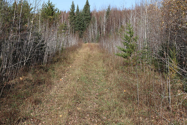 Grouse-Hunting-6