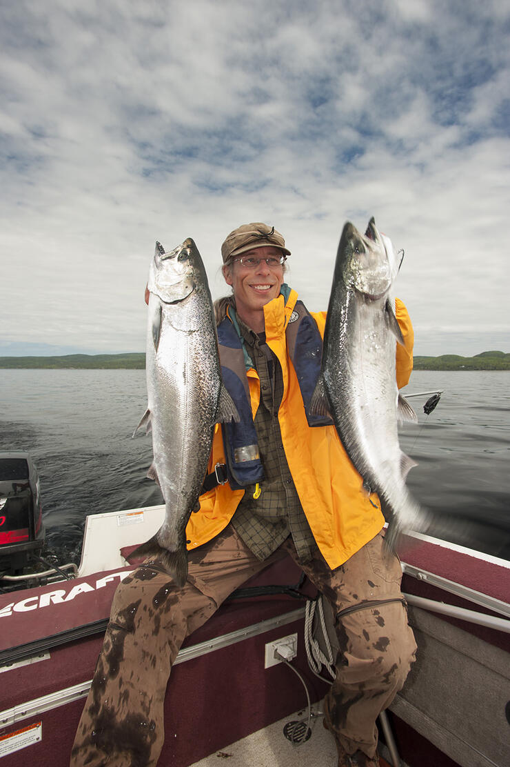 Chinook Salmon