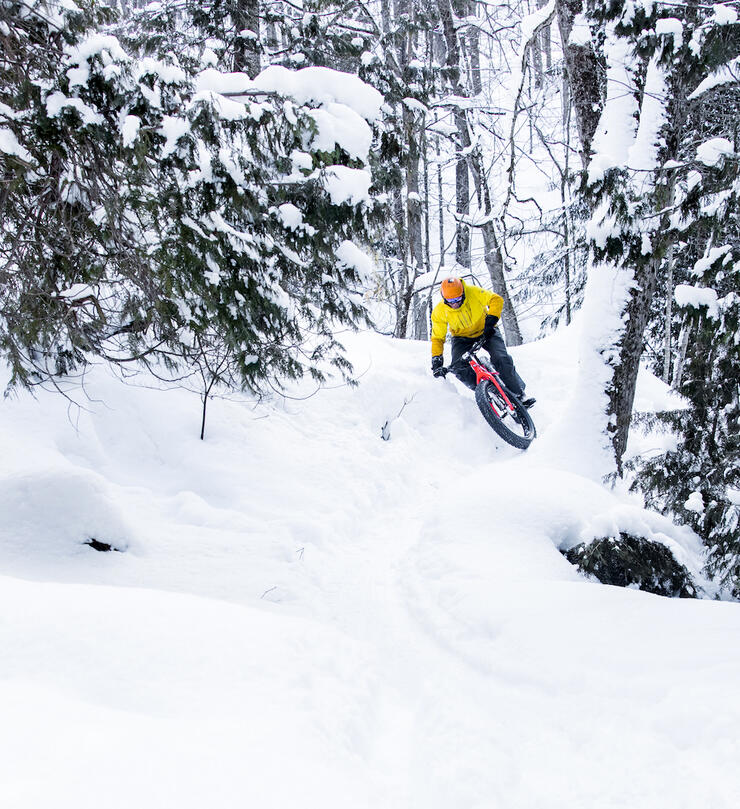 Person ripping down a snow covered trail on a fat bike