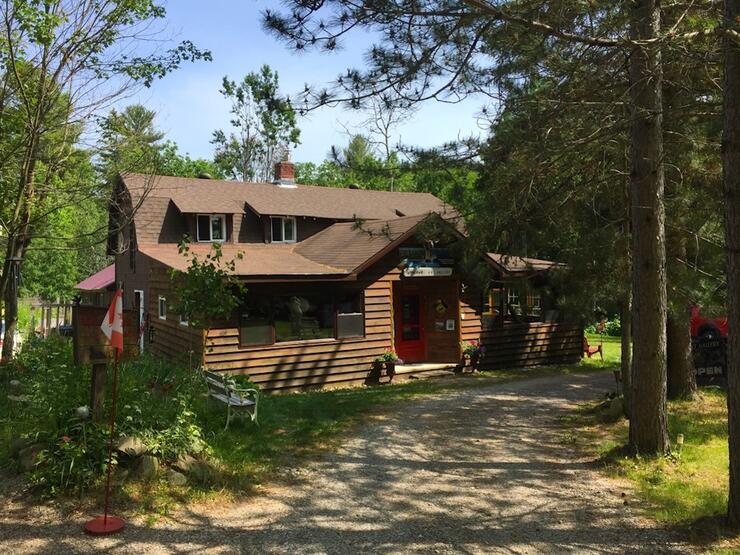 Widgawa Lodge sits in a forest clearing