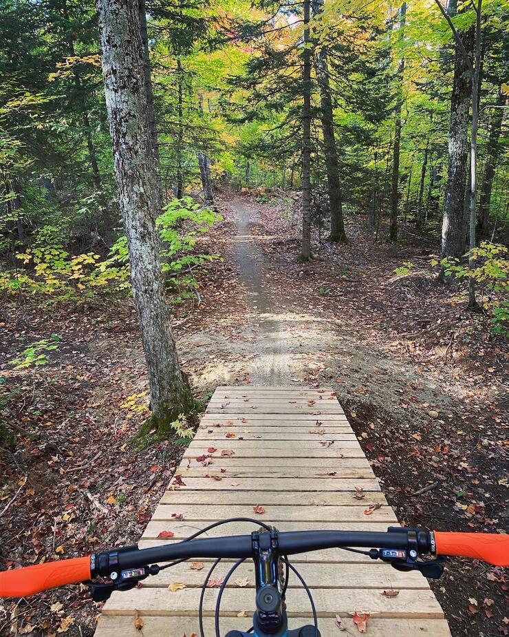 Looking over the handlebars of a mountain bike going along a forest boardwalk biking trail