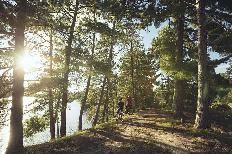 Two cyclists pause on a forested bike trail beside a body of water