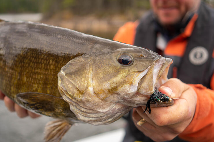 Fishing-Cold-Front-Smallmouth-Bass-03