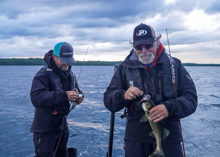 walleye