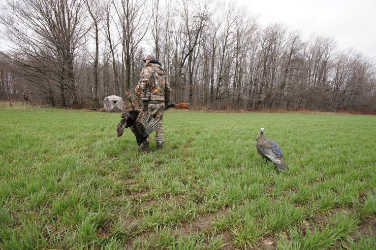 hunter with harvested turkey