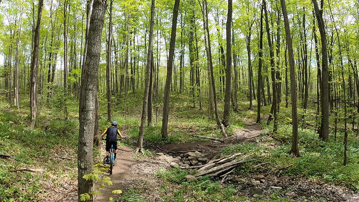 The Laurentian Ski Hill trails