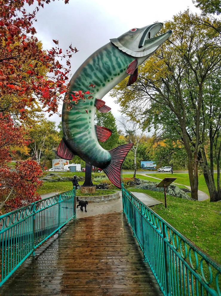 Husky the Muskie in Kenora, Ontario