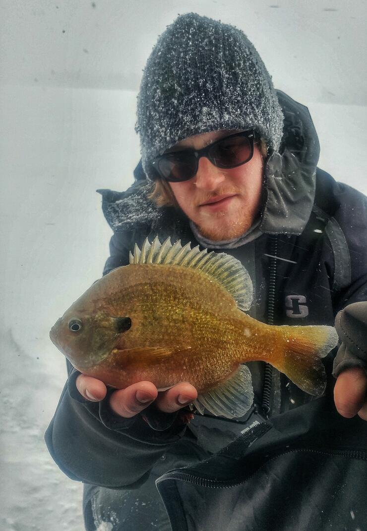 bluegill-ice-fishing-4
