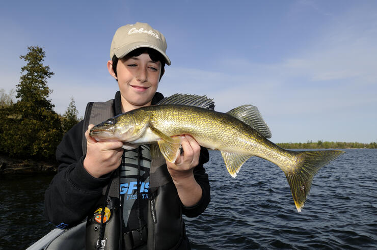 big walleye