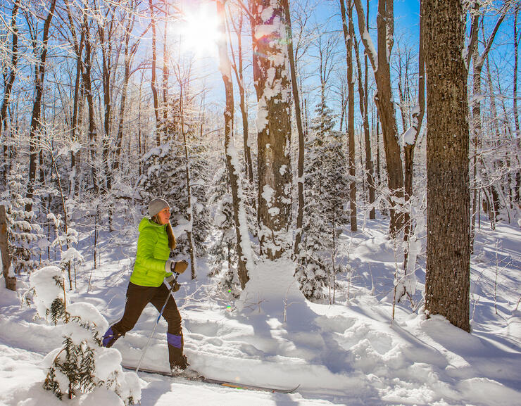 Young woman gliding through snow on cross-country skiis. Blue sky and snowcovered trees