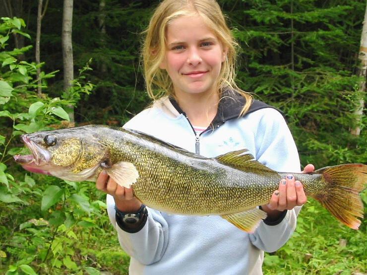 ontario walleye lady evelyn lake