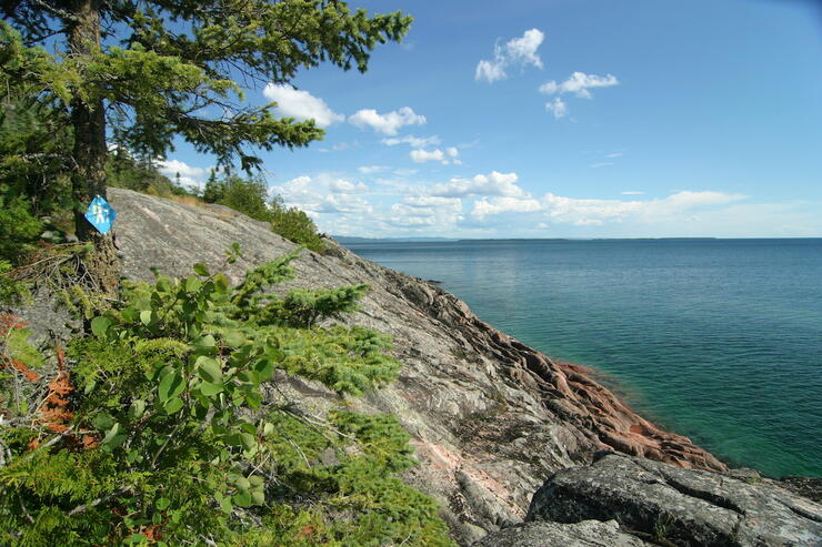 Trail sign on tree beside rocky shoreline trail