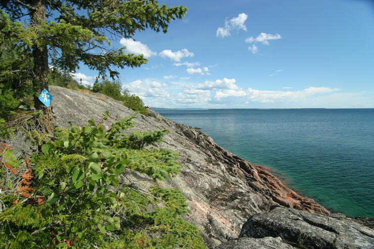 Trail sign on tree beside rocky shoreline trail 