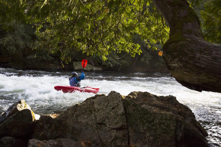 Kayaker in whitewater