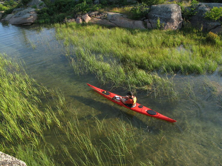 Person paddling red kayak through long grasses in the water