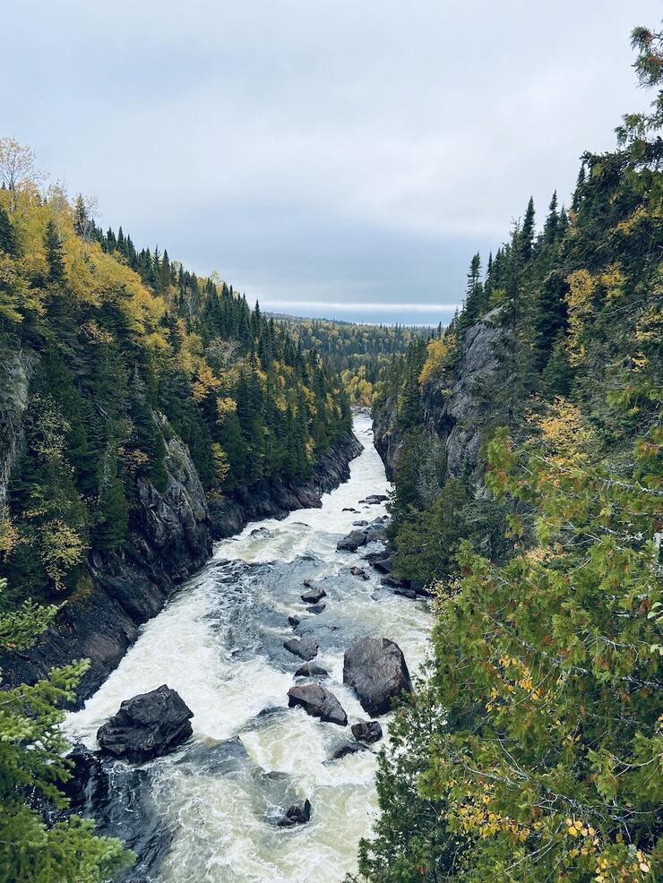River flowing through gorge with colourful trees on either side