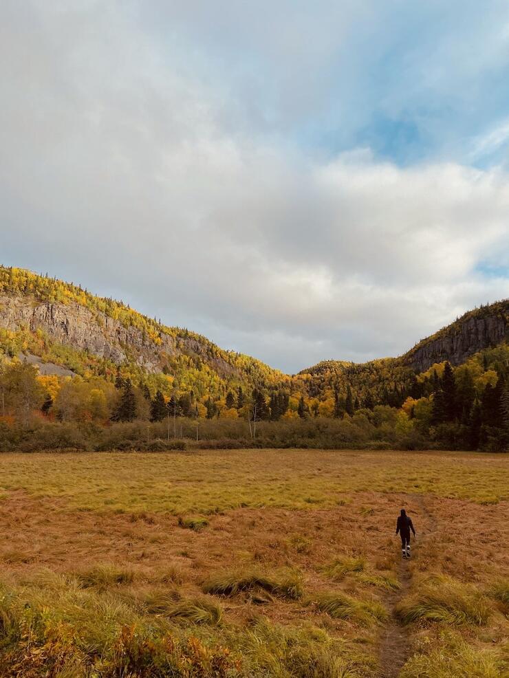 Person walking through yellow field