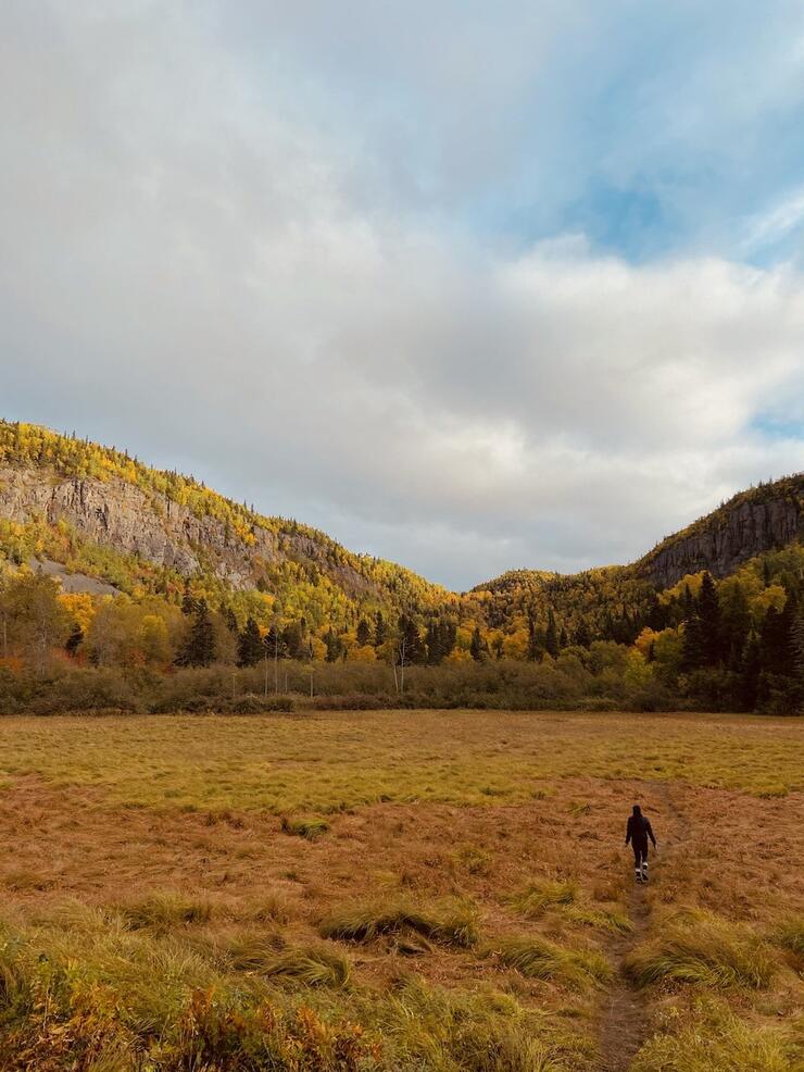 Person walking through yellow field