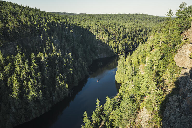 View of tree-lined canyon with river running through it.