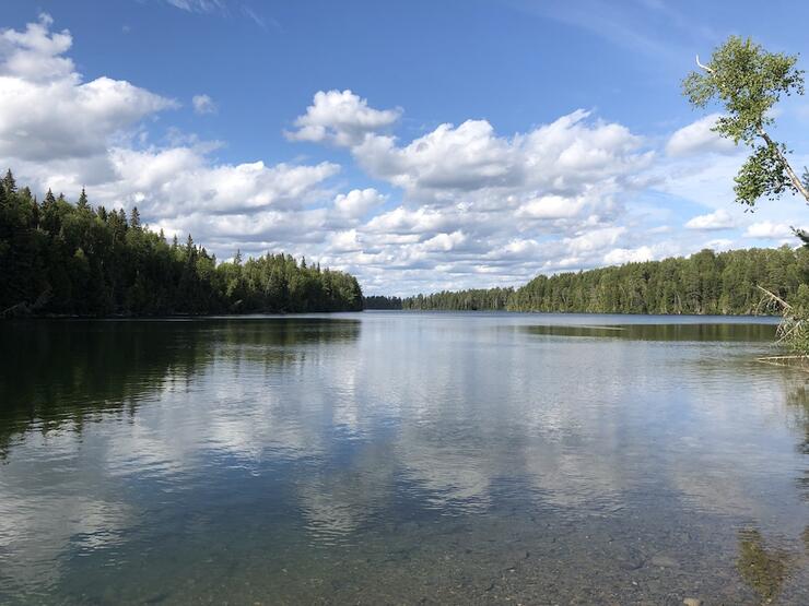 Shot of river lined with trees