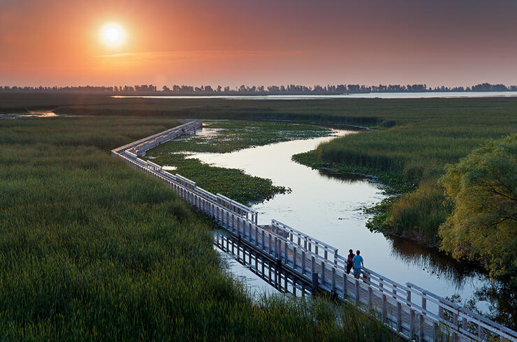 Grassy shores of Point Pelee at dusk