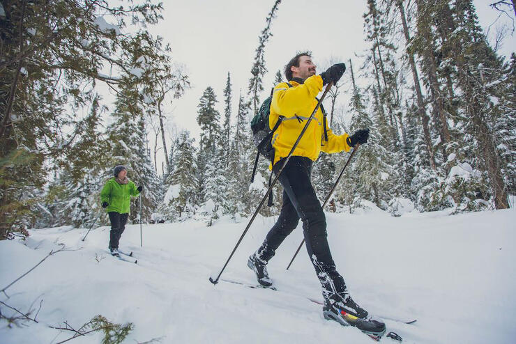 Two people cross country skiing through the woods.