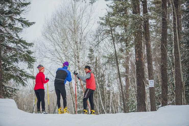 A group of three people stopped on a cross country ski trail