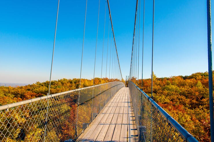 Suspension bridge over trees of colourful leaves