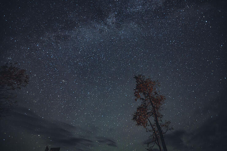 Looking up at starry night sky