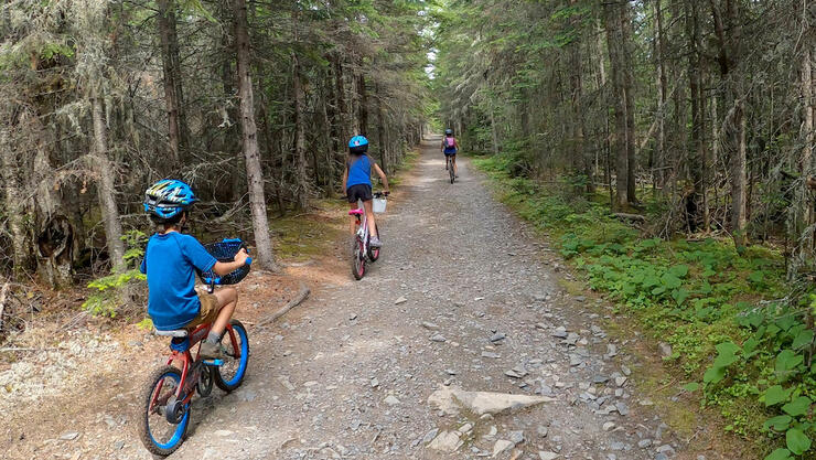 Kids biking on a trail