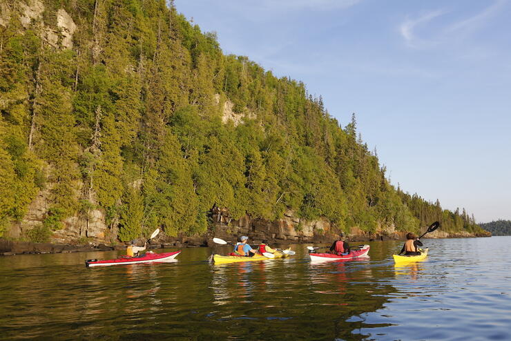 Group of colourful kayaks paddling by a tree covered cliff