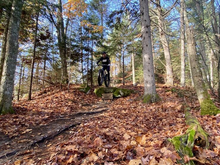 Man rides mountain bike along forest trail