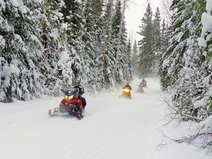 sled-algoma-6