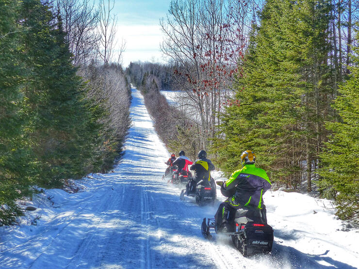 sled-algoma-5